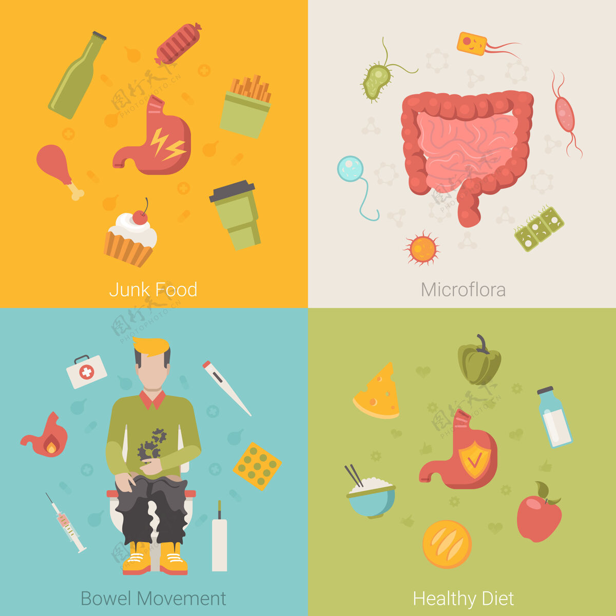 平面健康平胃肠道肠道器官载体概念垃圾食品微生物群排便饮食营养素食食物