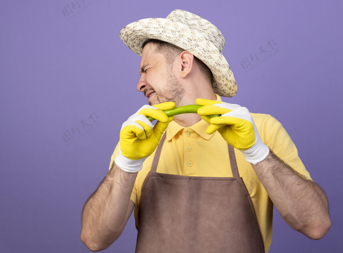 人年轻的园丁穿着连体衣 戴着帽子 戴着工作手套 手里拿着青辣椒 头对着辣椒 站在紫色的墙上抱工人转身