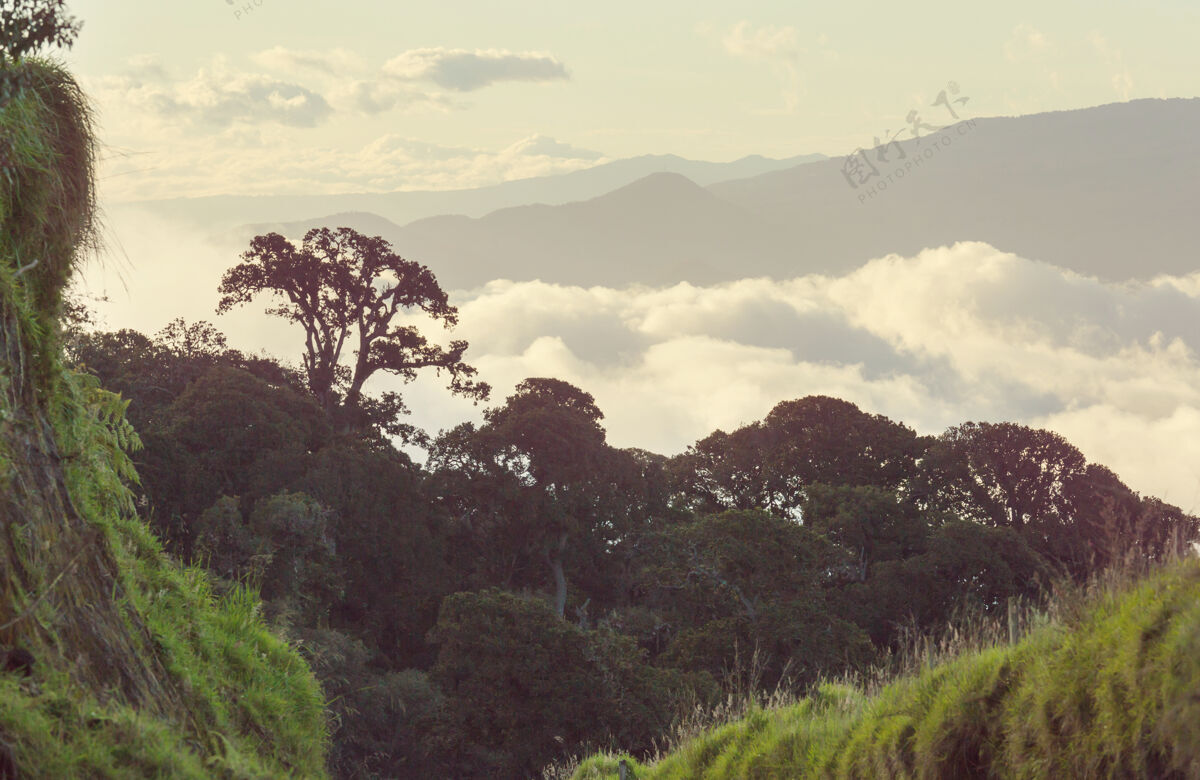 田野美丽的山景在哥斯达黎加 中美洲无人美国景观