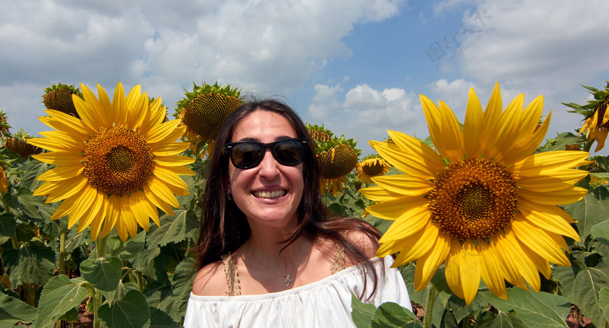 快乐一个戴着太阳镜的快乐美丽的土耳其女人在向日葵地上摆姿势夏天土耳其开花