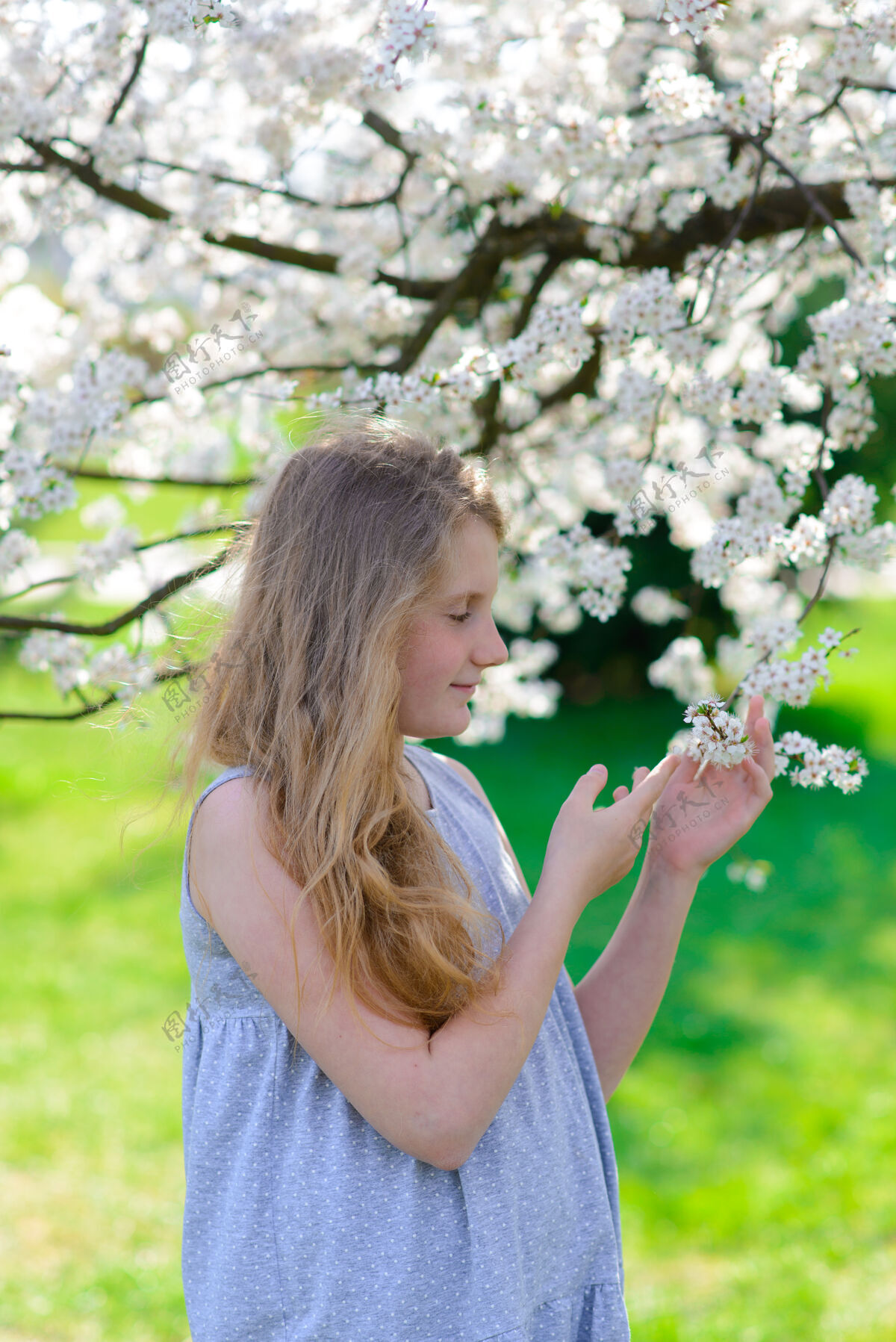 衣服美丽的春天 美丽的小女孩在盛开的苹果园里小金发开花