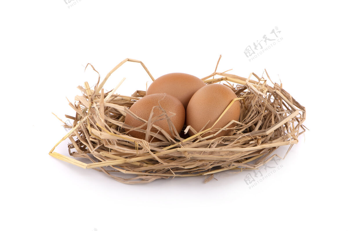 家禽在白色背景上分离的鸡蛋天然生的蛋壳