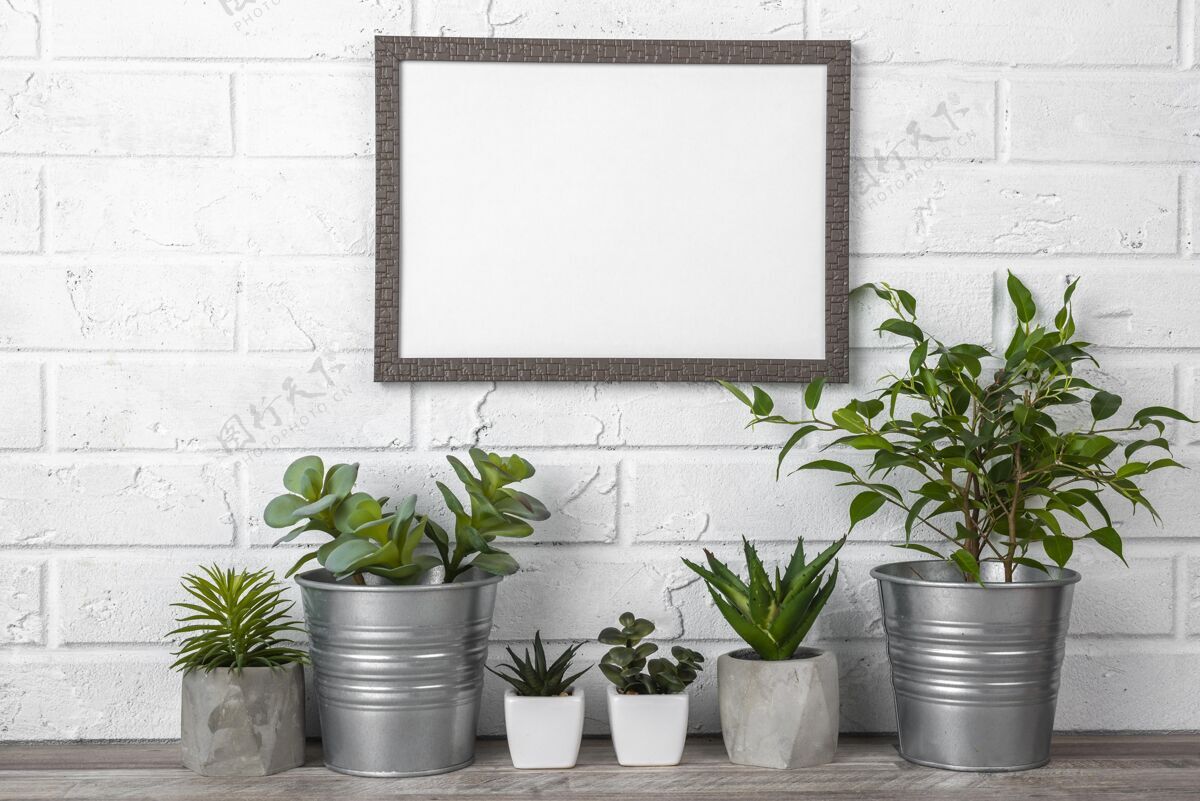 植物花盆收藏旁边的空白框收藏空白相框相框