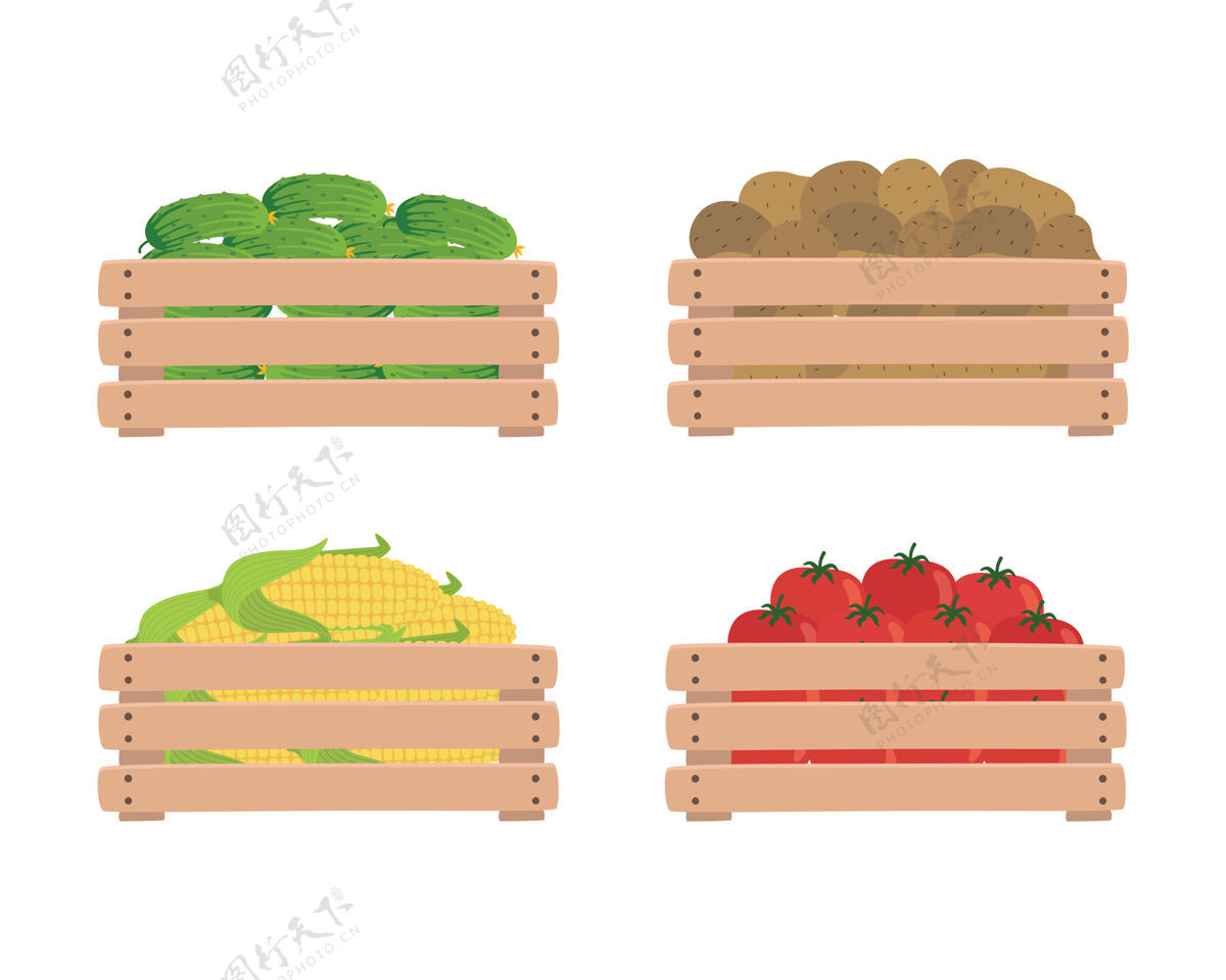 板条箱木箱里的蔬菜 隔离在白色的地板上背景.西红柿 土豆 玉米和土豆黄瓜.插图有机的食物新鲜的农场的蔬菜健康蔬菜自然