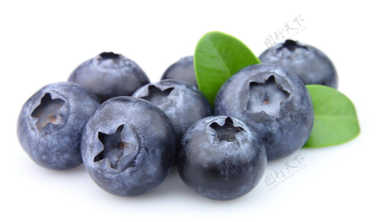 水果白叶蓝莓物体叶子自然