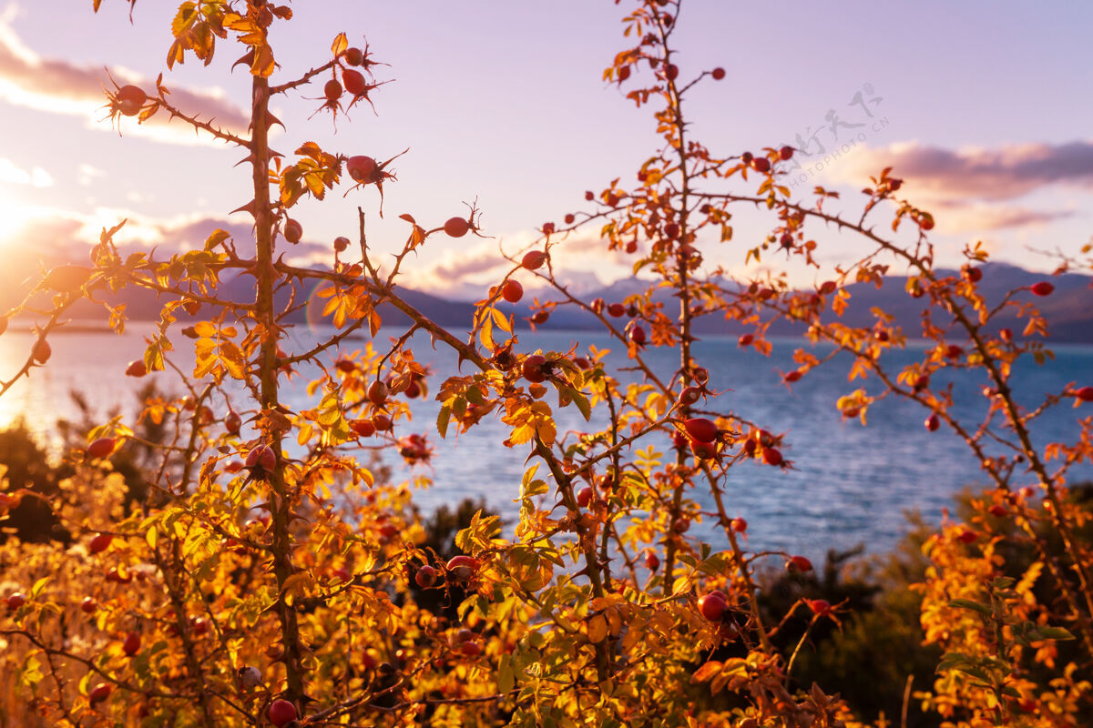 倒影秋天美丽的湖泊美丽的自然逃脱明亮
