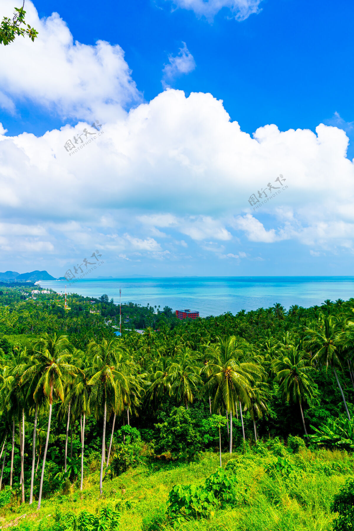 山美丽的海纹在奈恩泰和田观点在nakhonsithammarat 泰国野生风景热带