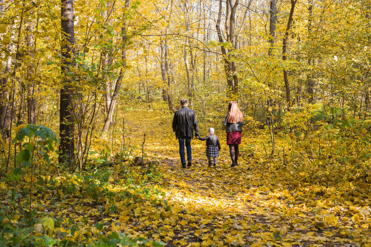 风格秋天 自然和家庭概念-家庭在秋天公园散步 后视图年轻自然父母