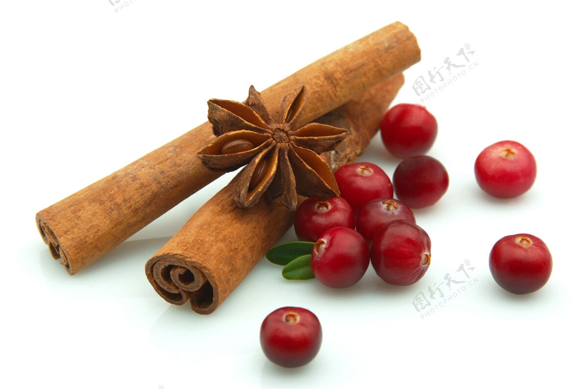 浆果茴香 肉桂和小红莓的芳香香料星星食物香料