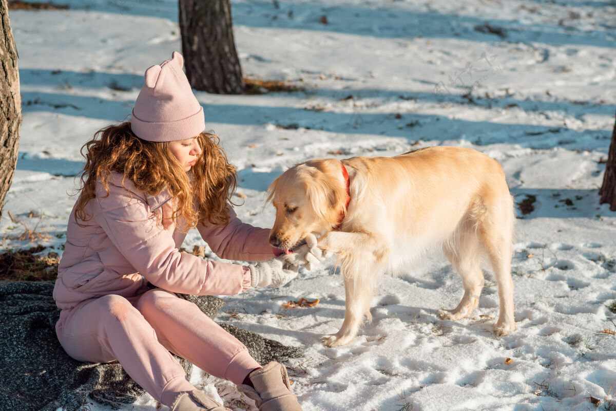 肖像主人帮助她可爱的狗金毛猎犬清理垃圾爪子狗的爪子在冬天冻住了 雪也被堵住了季节猎犬年轻