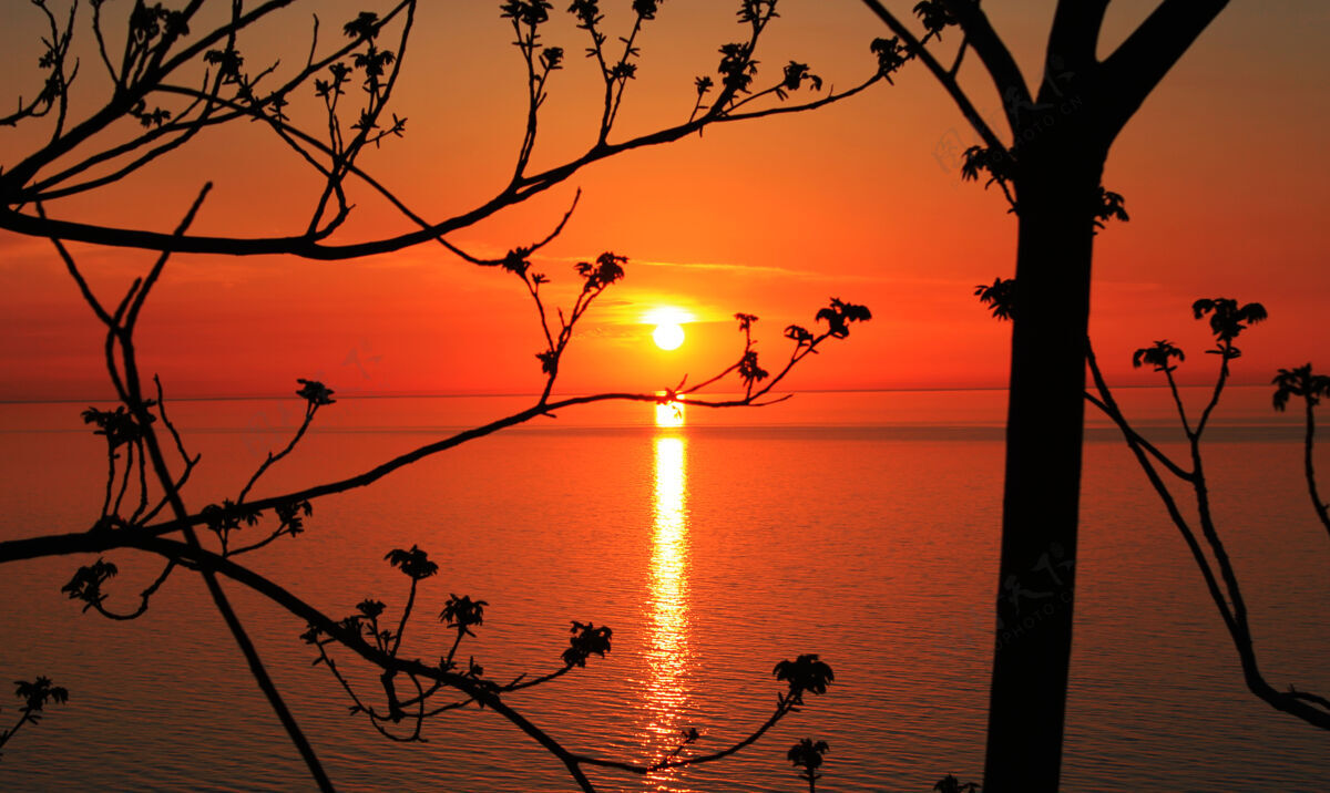 沙滩美丽的日落在黑海的佐治亚州 地平线和五颜六色天空橙色还有红色地平线液体明亮