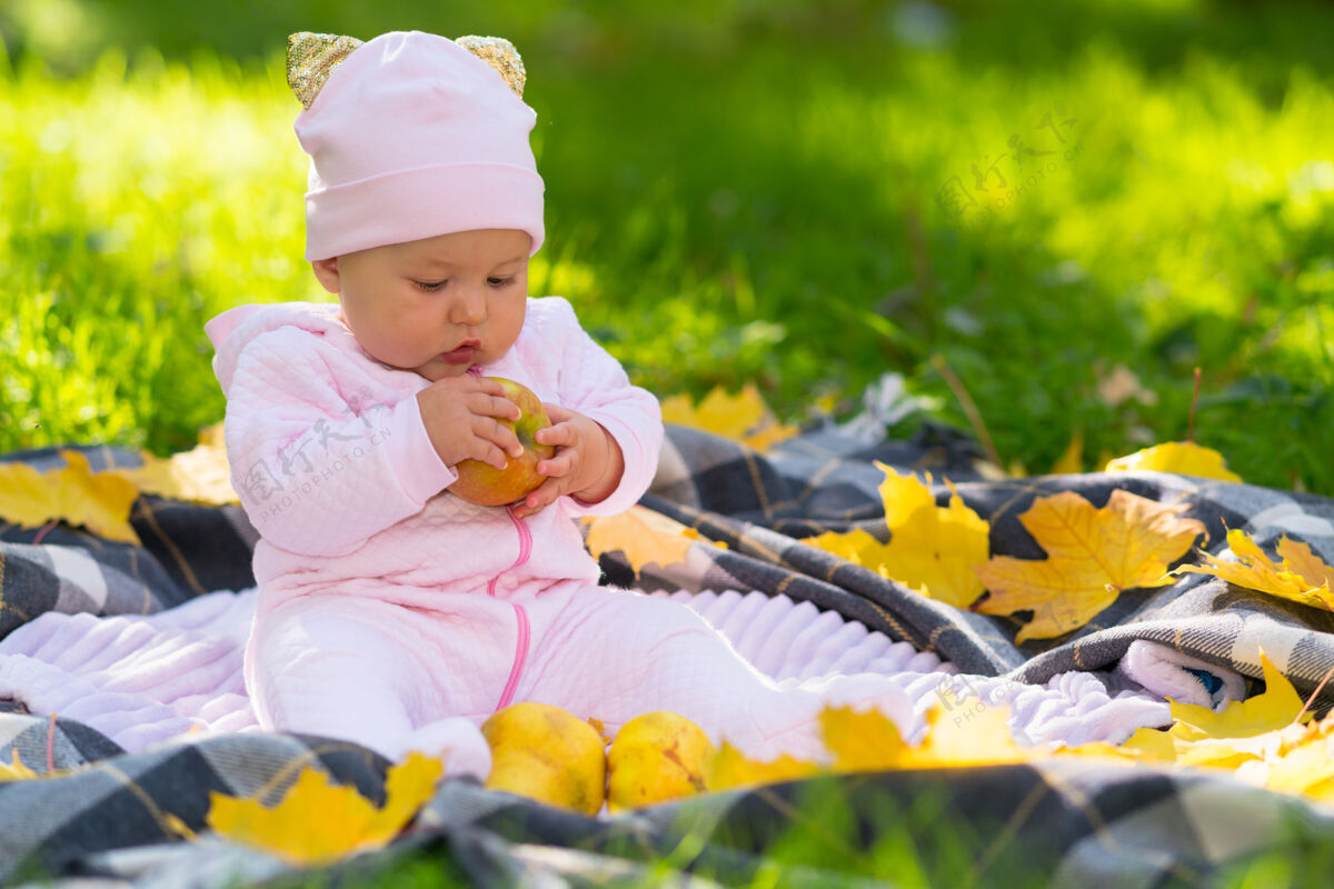 公园秋天 在一个被五颜六色的树叶环绕的公园里 坐在毯子上 全神贯注地看着一个新鲜的苹果的小女婴复制空间水果刺激