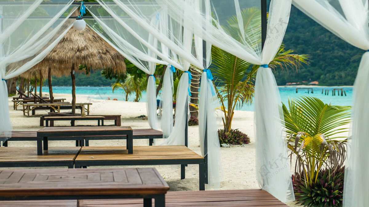 平静沙滩床上的白色沙滩棕榈树之间在充分的阳光颜色温泉阳光