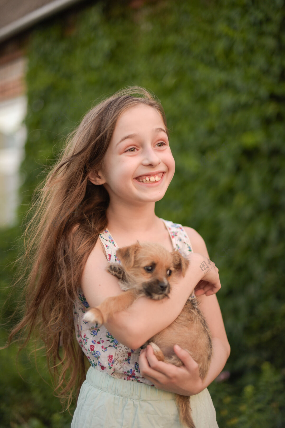 户外一个金发小女孩带着她的宠物狗在外面停车场女孩喜欢一只小狗女孩动物童年