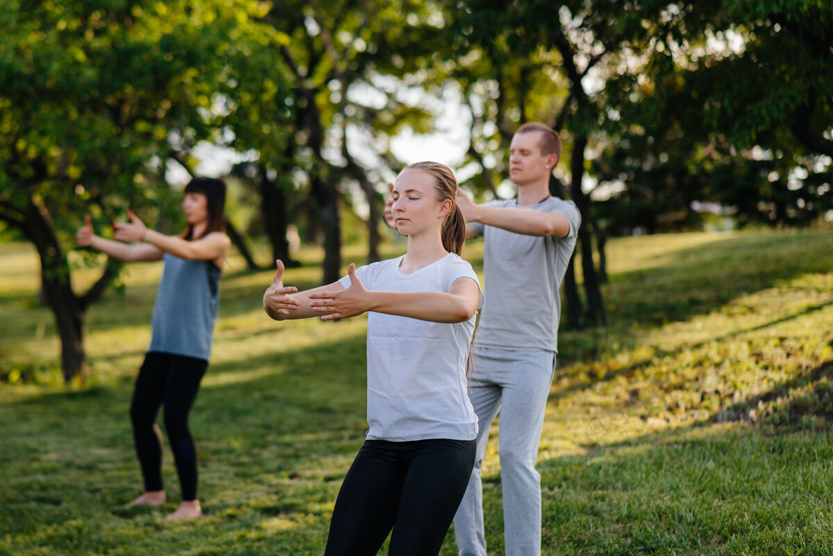 成熟日落时分 一群人在公园里做瑜伽自然女人能量