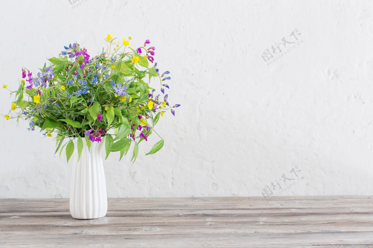 花园白色背景的花瓶里盛开着夏天的野花季节开花花瓣