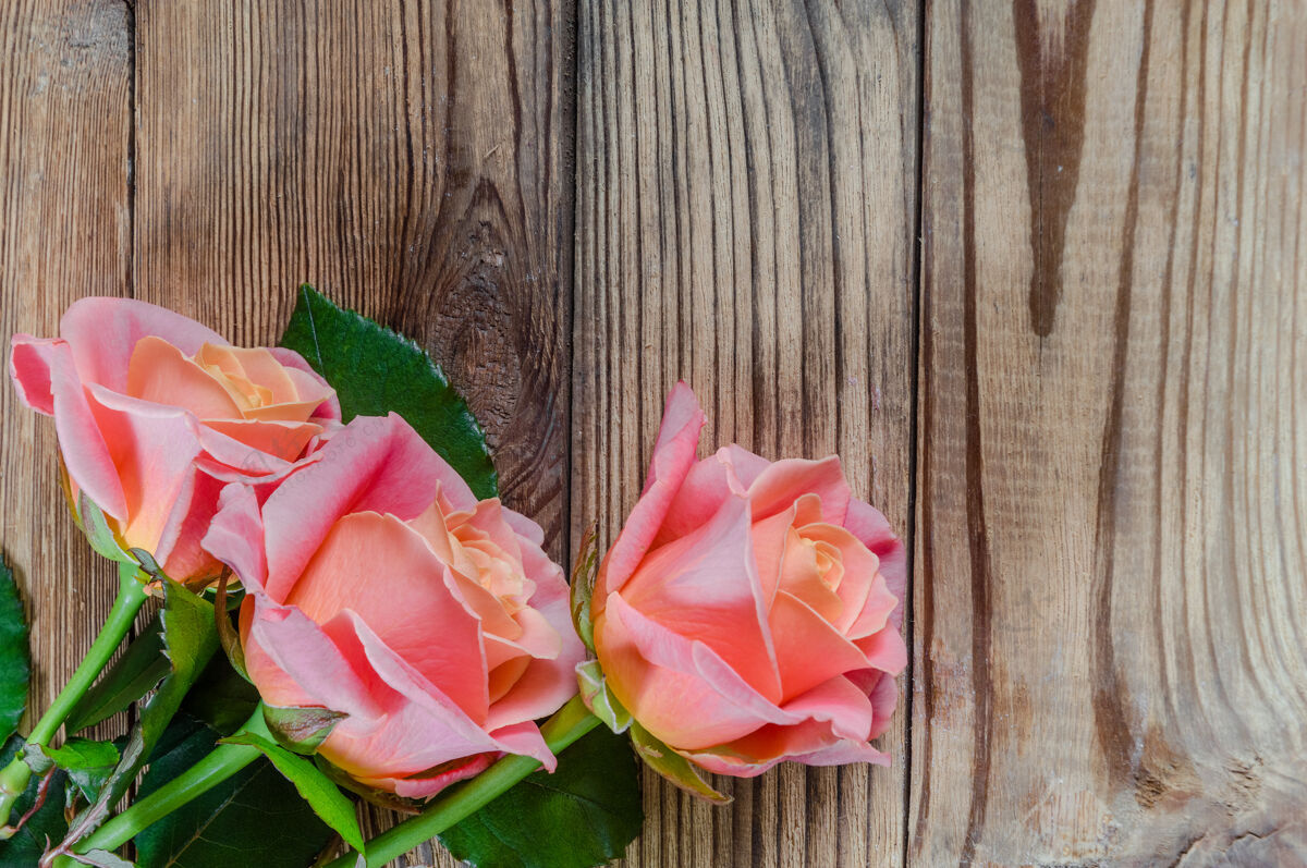 花束木制乡村背景上的玫瑰花香气花瓣木材