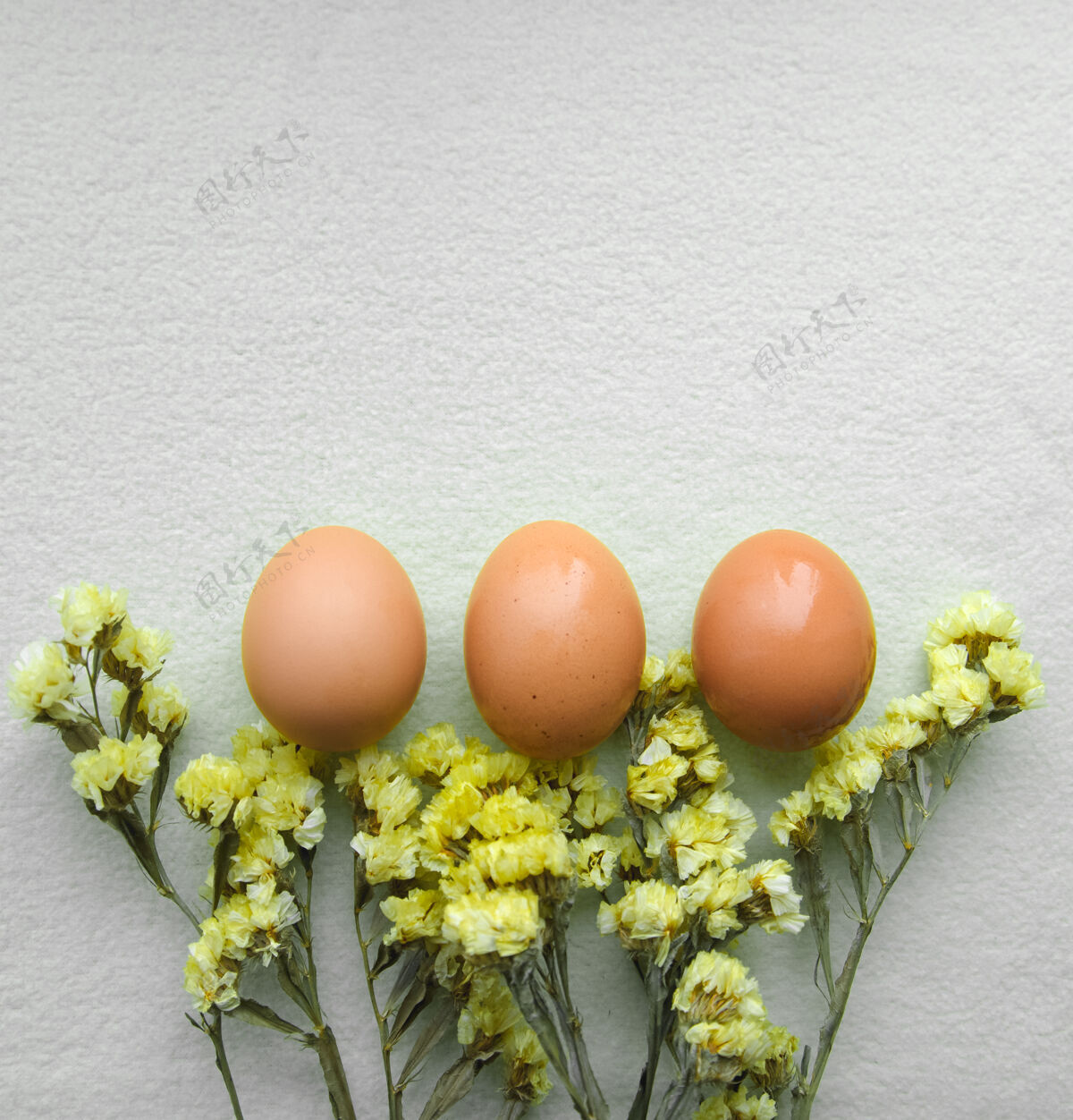 传统复活节彩蛋和黄花黄色开花春天