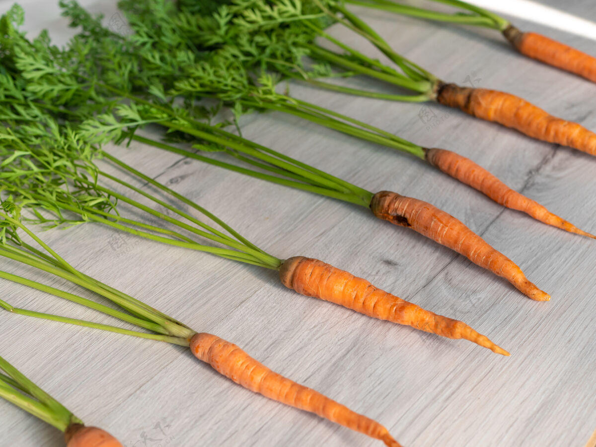 健康新鲜的胡萝卜只能从花园.橙色在灯上有绿色茎的胡萝卜背景.开胃的健康蔬菜顶块茎素食主义者