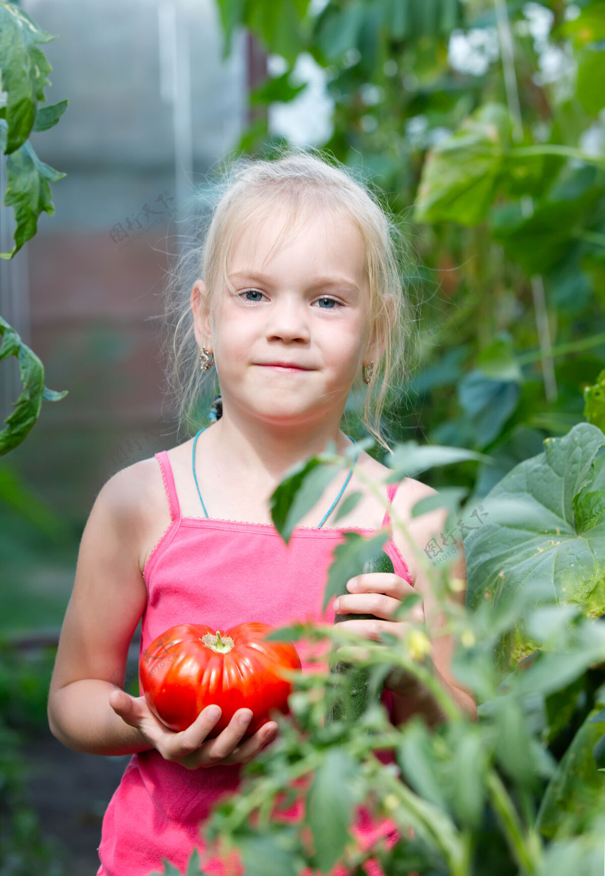 植物学小孩收集蔬菜番茄收获儿童