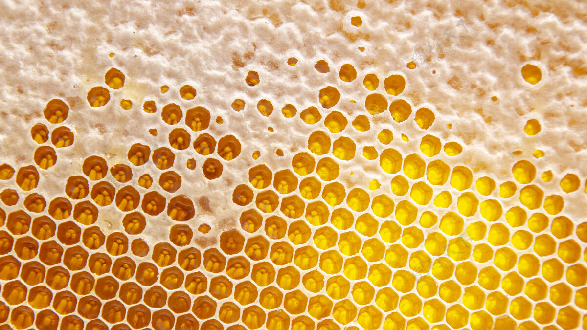配料蜜蜂新鲜蜂蜜梳子背景以及质地 维生素天然的食物.蜜蜂工作成果滴糖浆生的