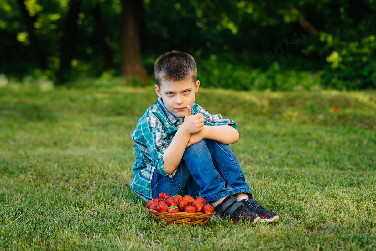 充满活力一个可爱的小男孩坐在那里 手里拿着一大盒成熟美味的草莓收获成熟的草莓天然美味的草莓收获微笑蔬菜