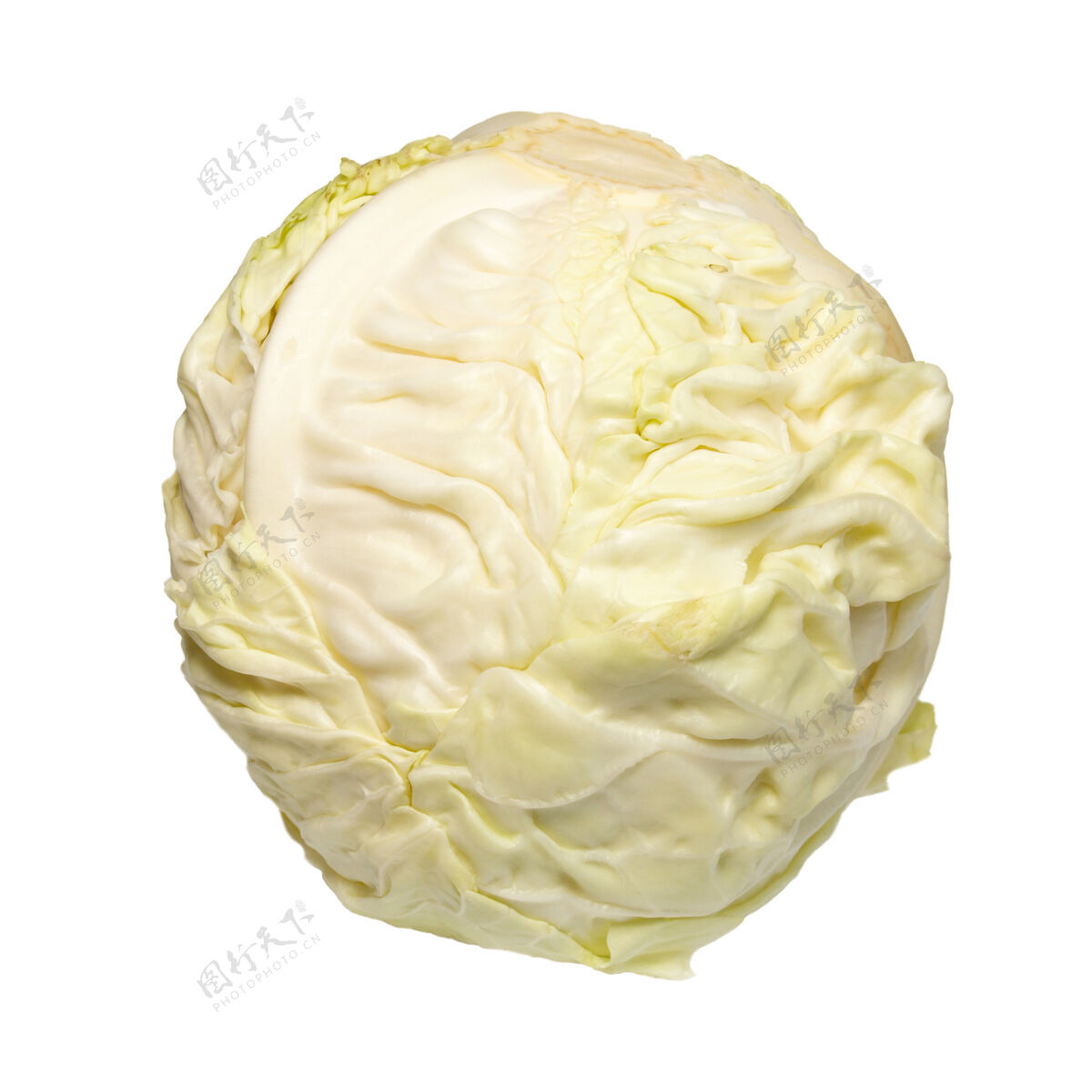 食物蔬菜白白菜隔离上白形状原料蔬菜