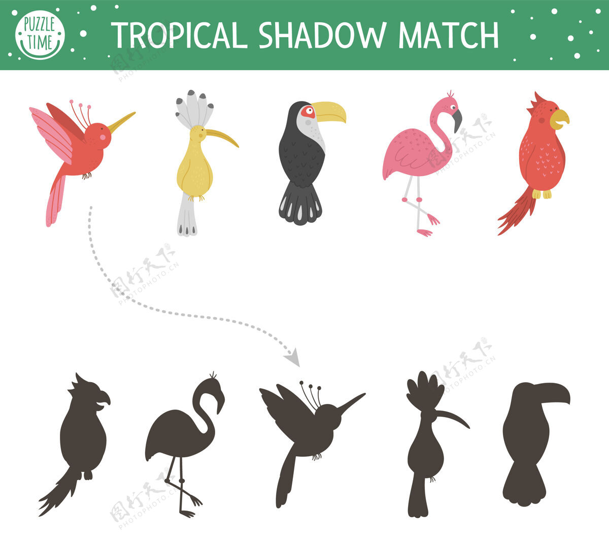 消遣热带阴影匹配活动儿童.幼儿园丛林拼图可爱异域教育谜语.发现正确的鸟类轮廓可打印工作表发现鸟谜语