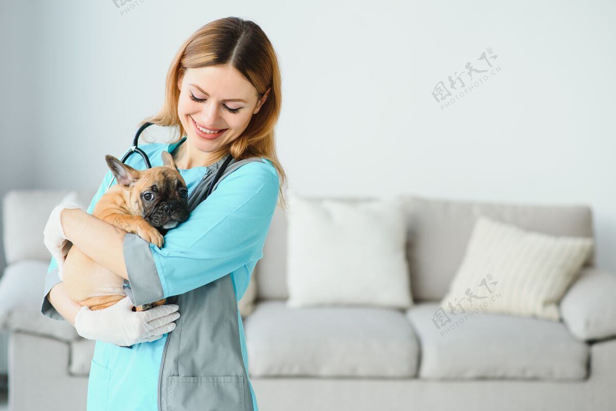 检查自信的女兽医在医院检查狗的画像病人医院兽医