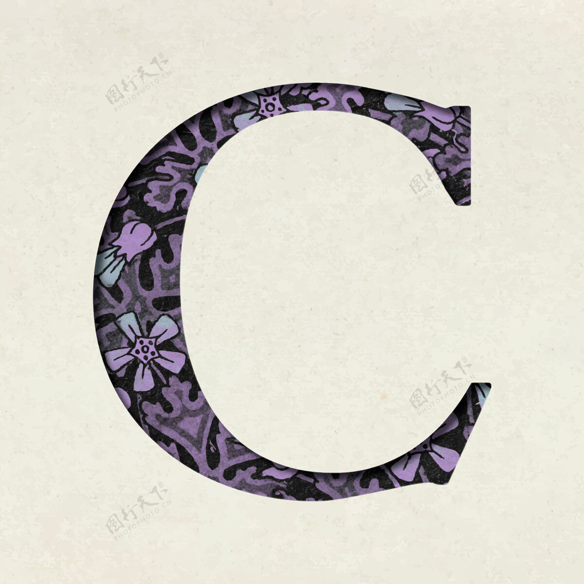 植物复古紫字母c排版大写字母花卉字体