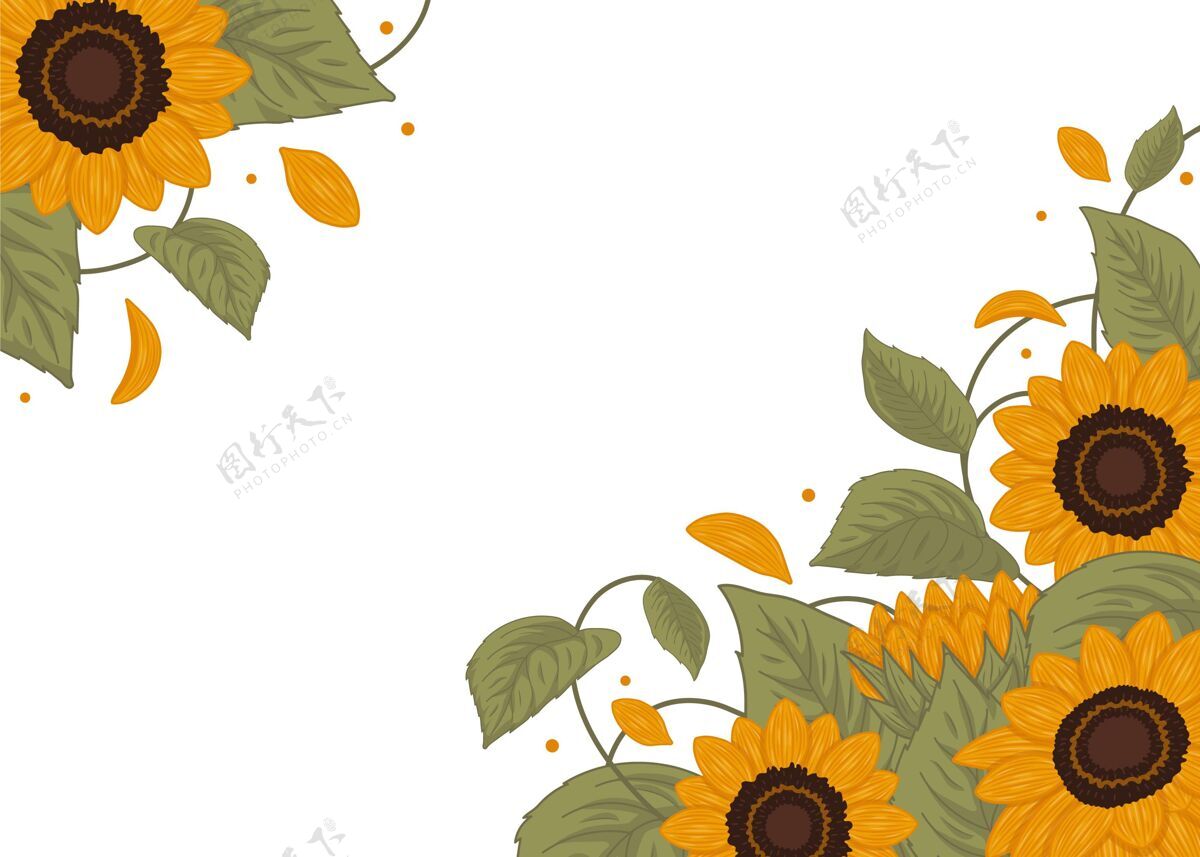 开花手绘向日葵边框 空白手绘花花