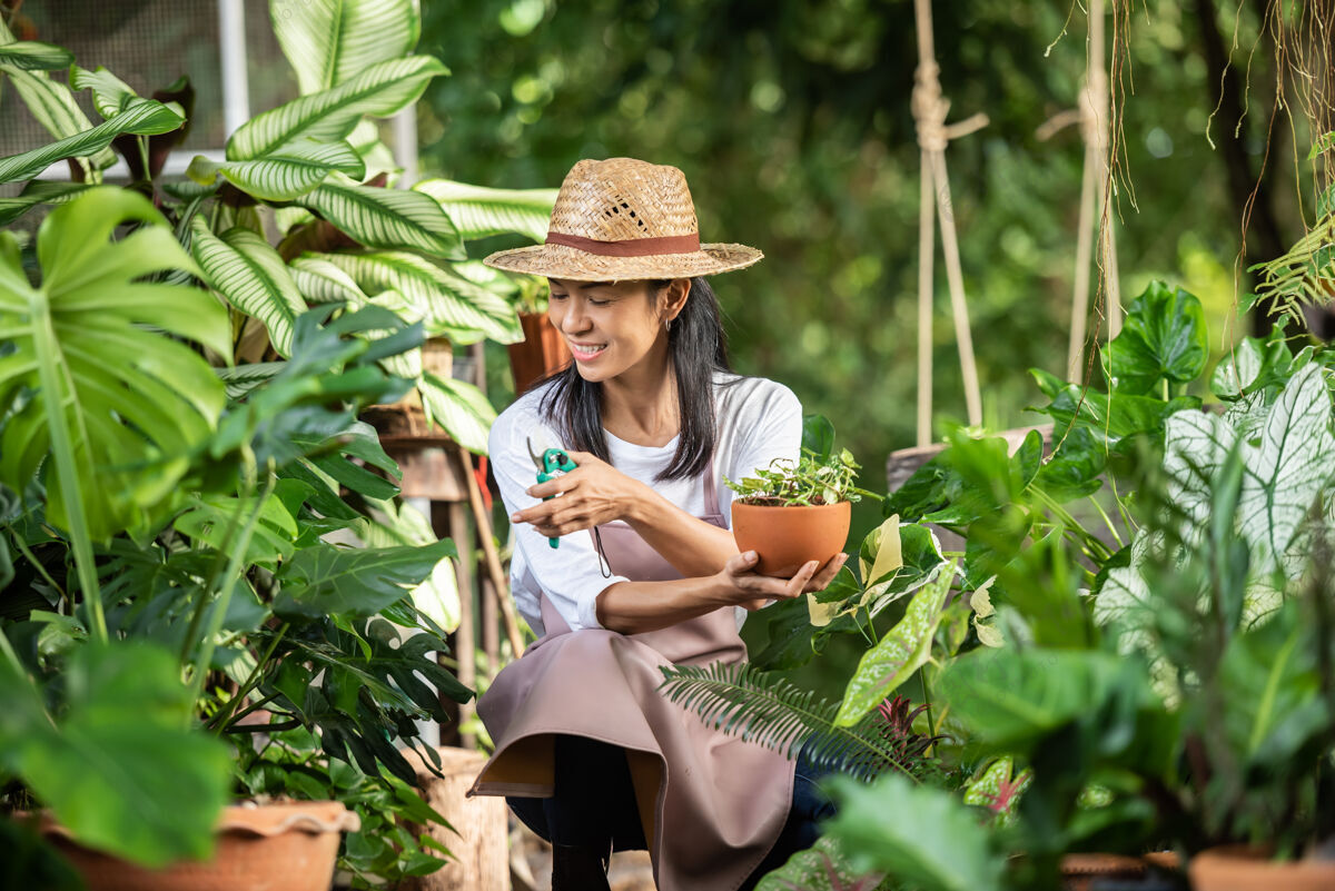 生态迷人的年轻女子在花园中心与装饰植物一起工作女主管在夏季大自然中检查室外花园中的植物美丽的园丁微笑植物护理女性农业生物