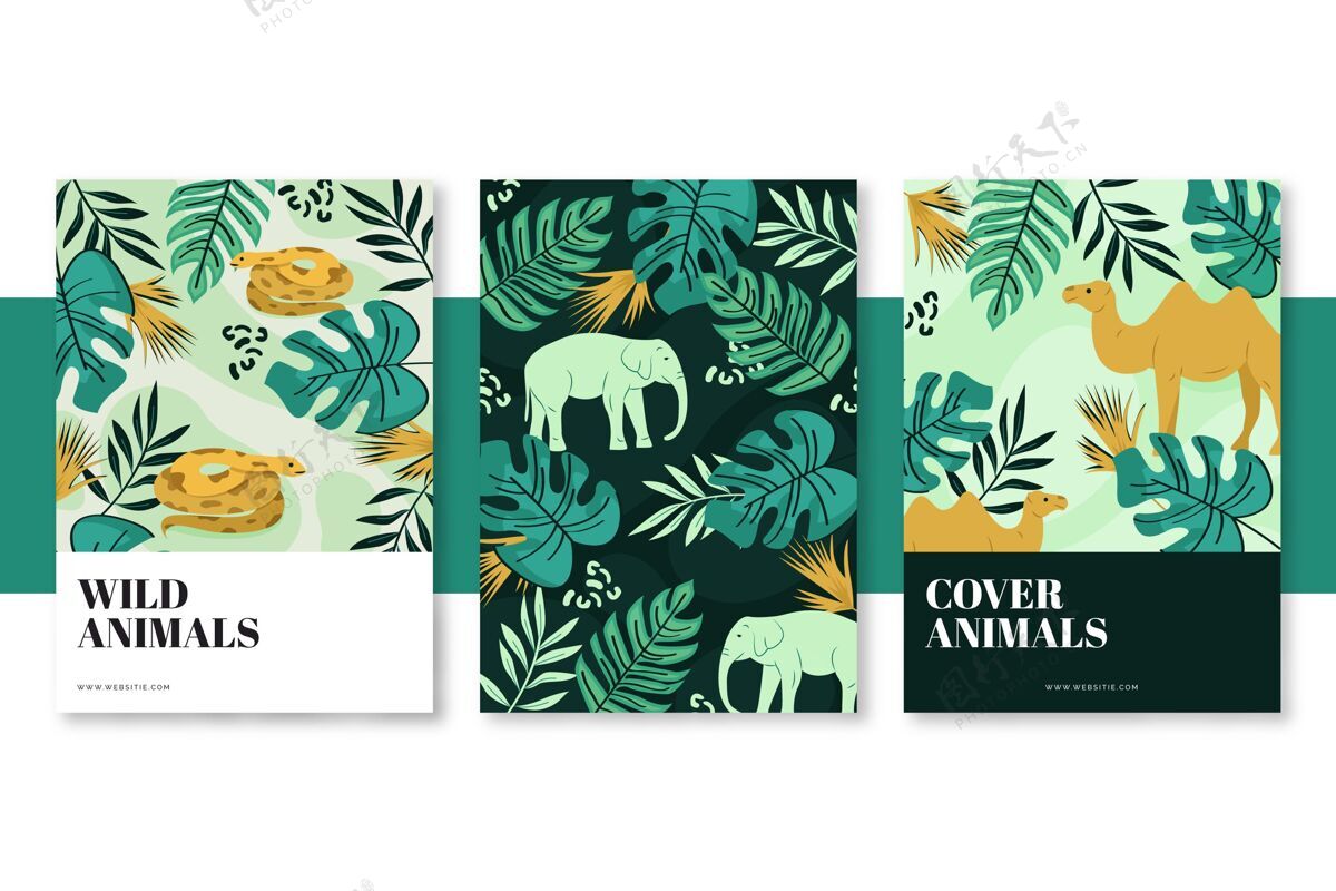封面模板集合手绘野生动物封面收藏野生动物封面集合