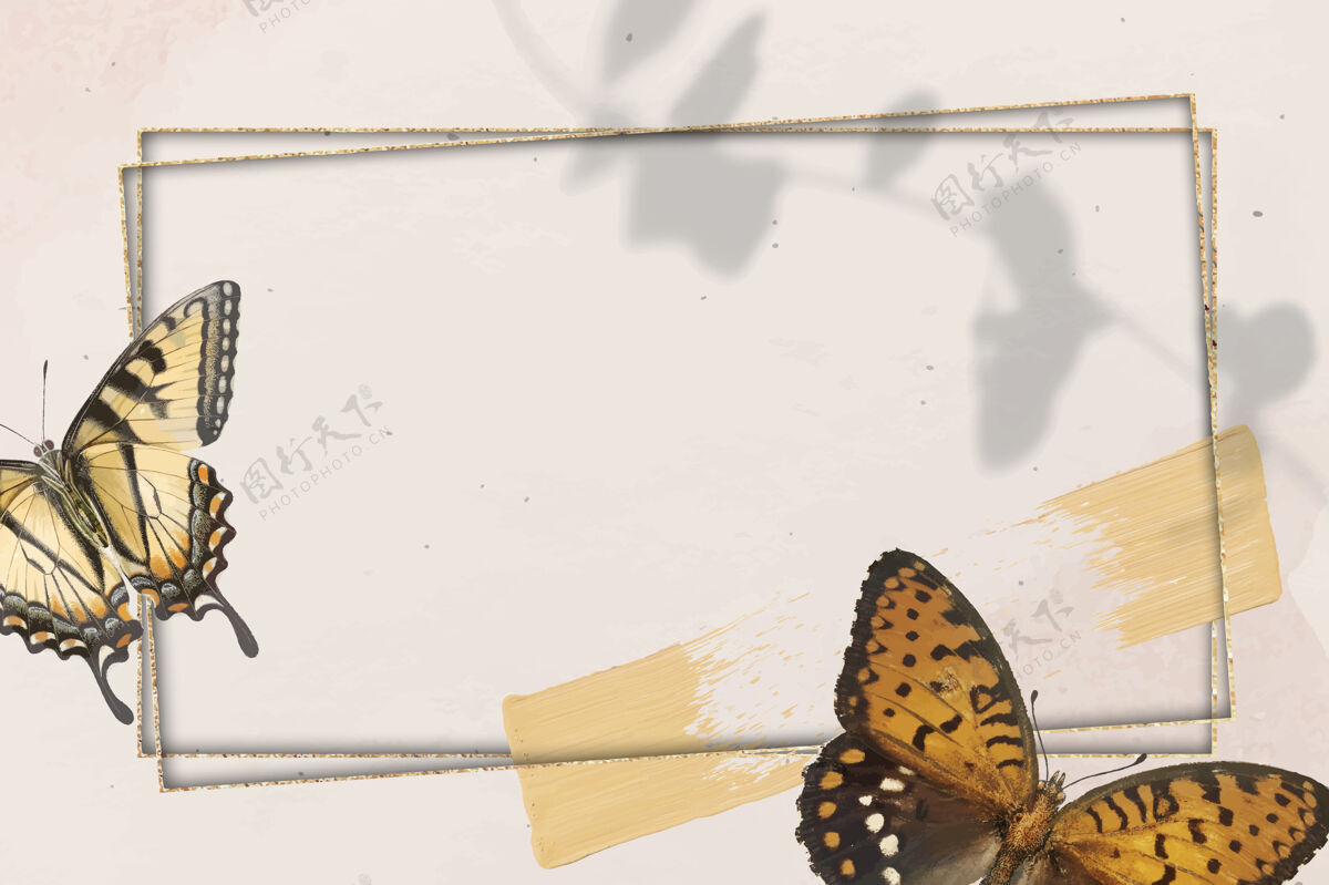 美丽蝴蝶图案背景金框蝴蝶动物野生动物