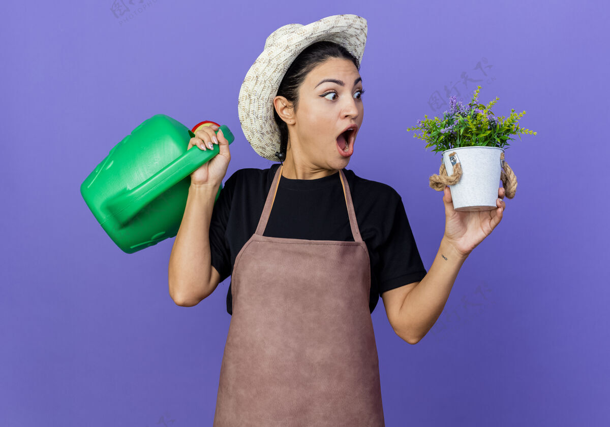 漂亮年轻漂亮的女园丁 围着围裙 戴着帽子 手里拿着水罐和盆栽植物 站在蓝色的墙上 惊讶不已惊喜壶表情