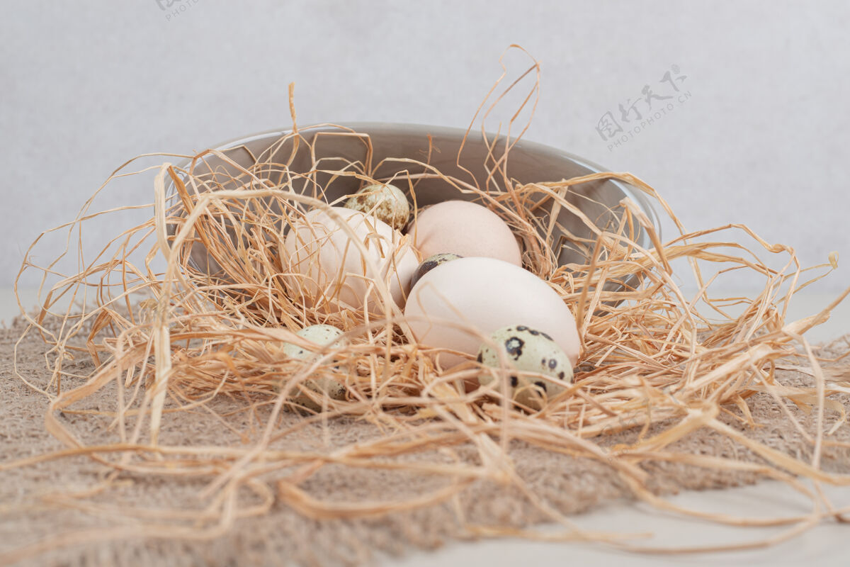 农场新鲜白鸡蛋配鹌鹑蛋和干草放在灰色盘子里美味生的麻布
