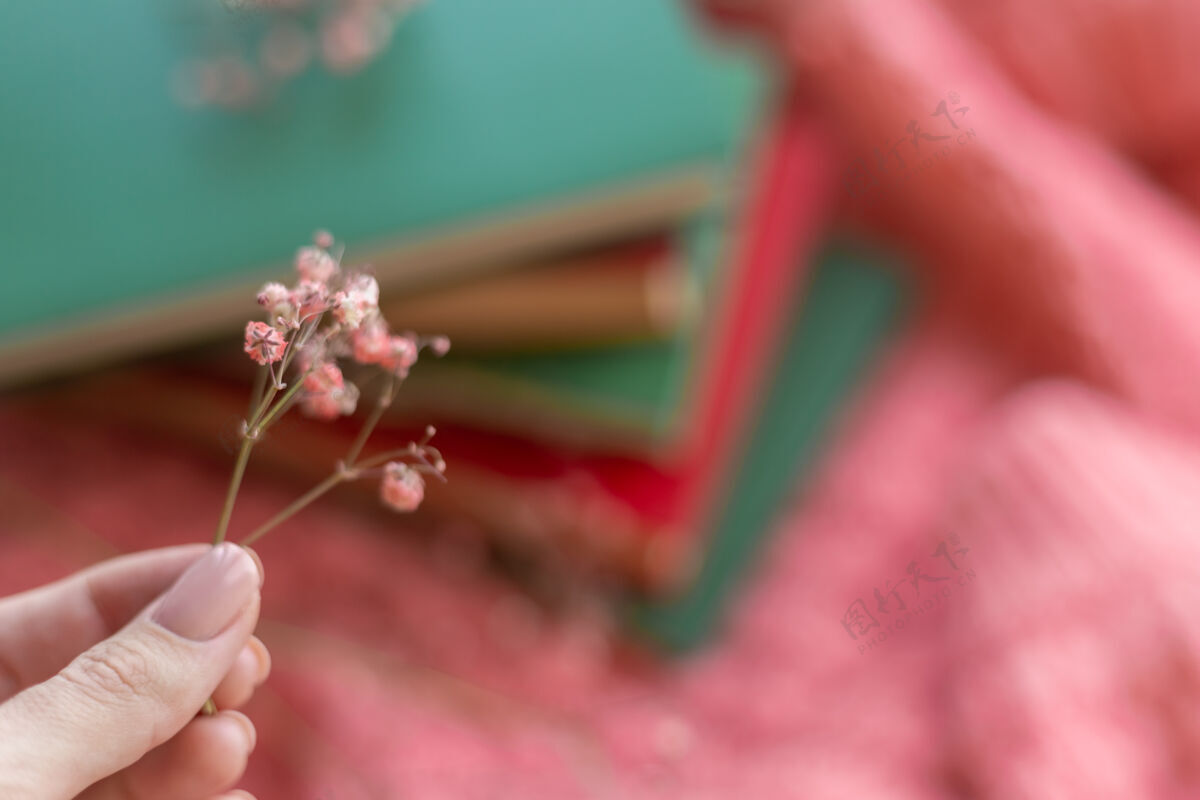纸一堆红绿相间的书 粉色温暖的针织毛衣上挂着干花阅读爱好享受