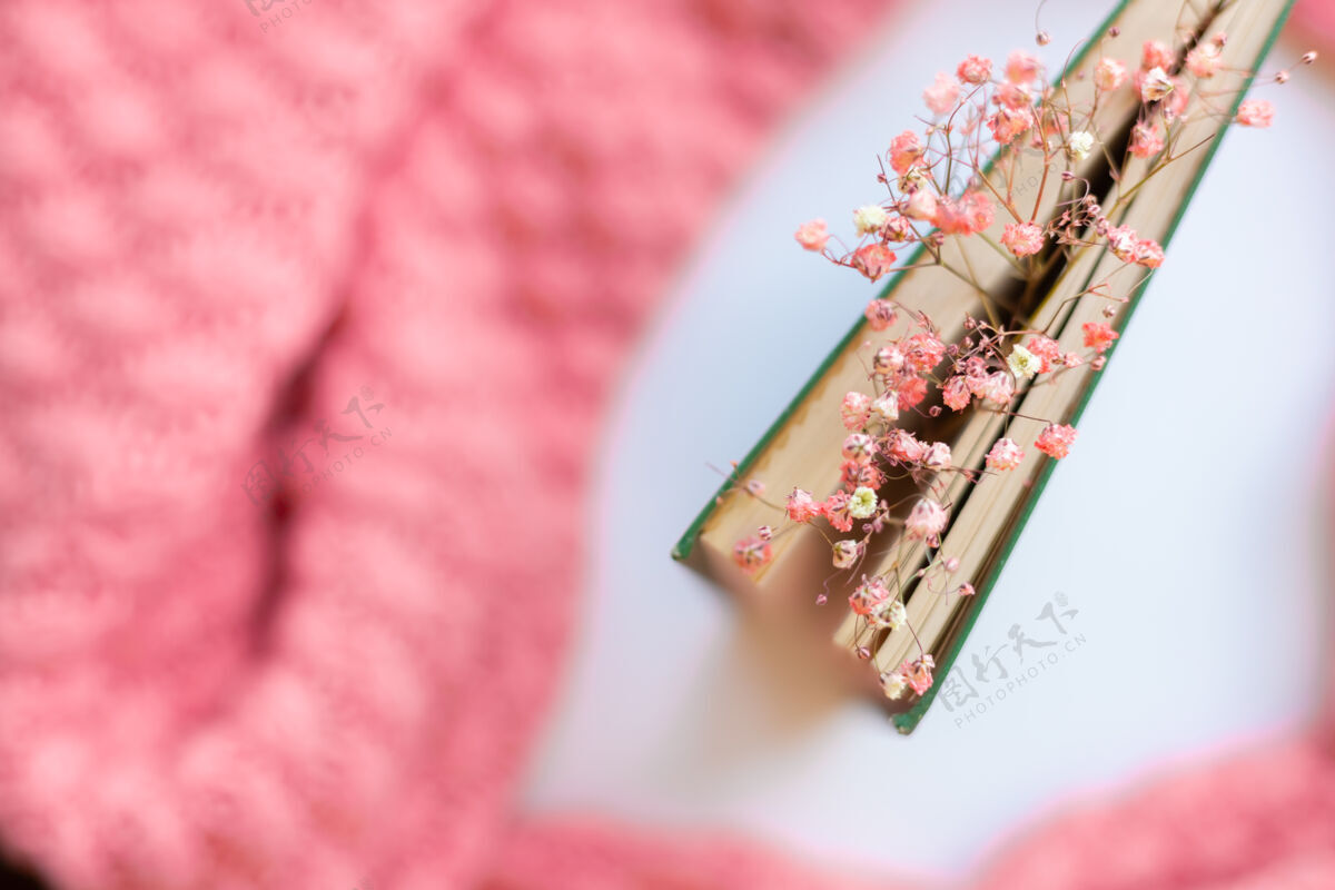阅读一件粉色温暖的针织毛衣上有干花的绿皮书享受日记休闲