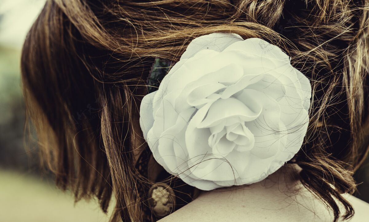 漂亮白玫瑰附在女人的头发上花玫瑰长