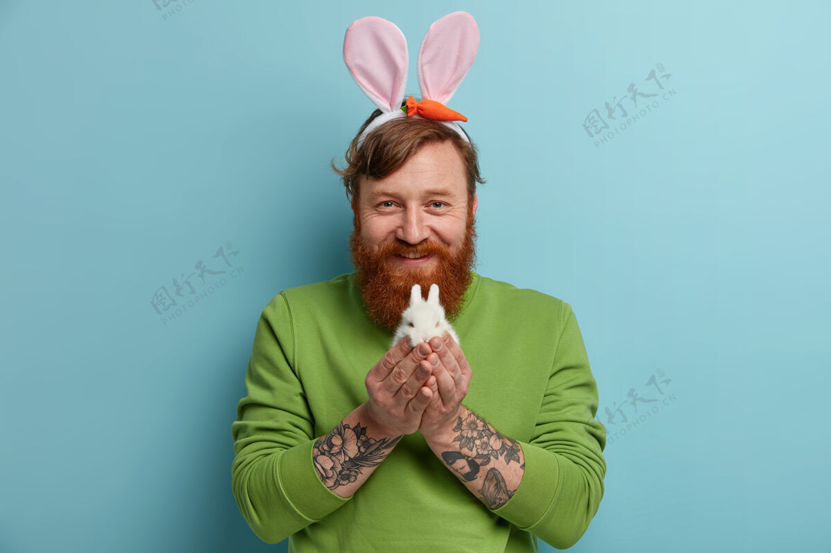 举行复活节假期的概念有着刺青手臂的姜胡子男人抱着小白兔 戴着兔子耳朵 绿色套头衫 表情愉快 隔着蓝色的墙复活节的象征复活节红发脸