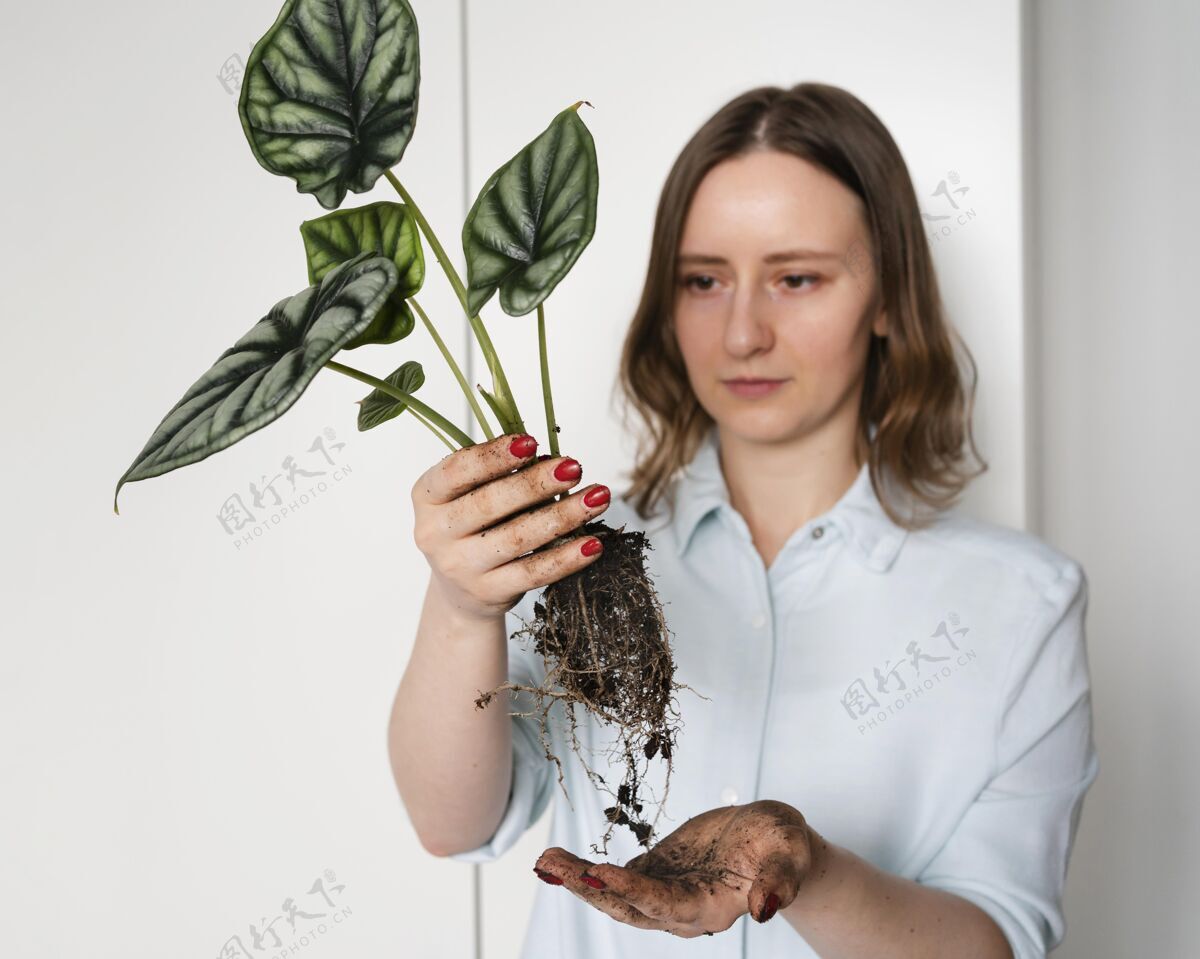 植物学拿着有根植物的女人叶子生长花园