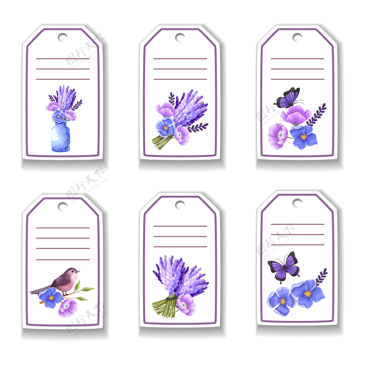自然植物卡片上有花 蝴蝶 鸟花卉海军蓝水彩