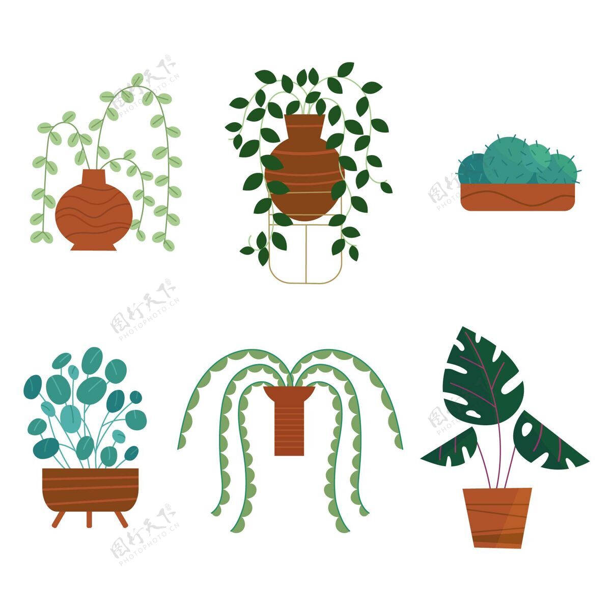 盆栽有机平面室内植物系列分类蔬菜收集