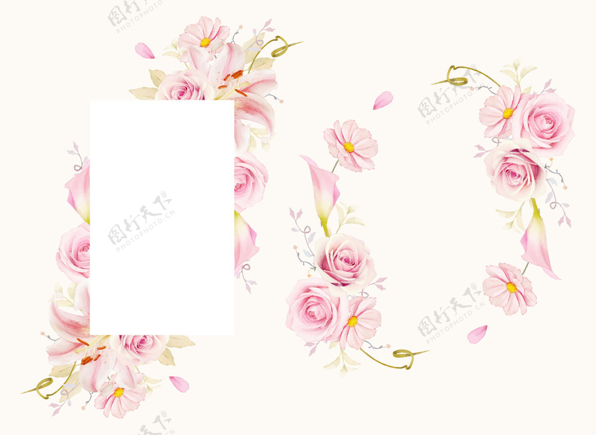 树枝美丽的花卉框架与水彩粉红玫瑰百合和马蹄莲花卉手绘水彩