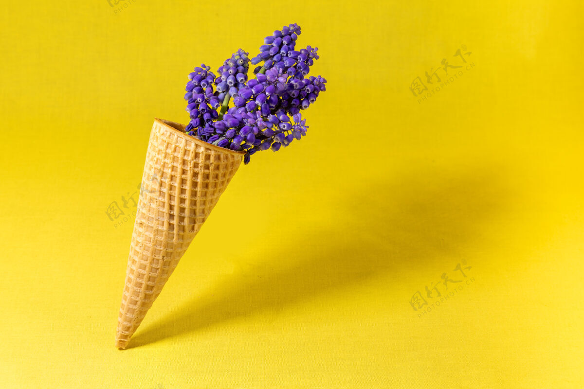 新鲜黄色墙上有花的冰淇淋筒侧视图 复制空间 春花概念圆锥形花白天