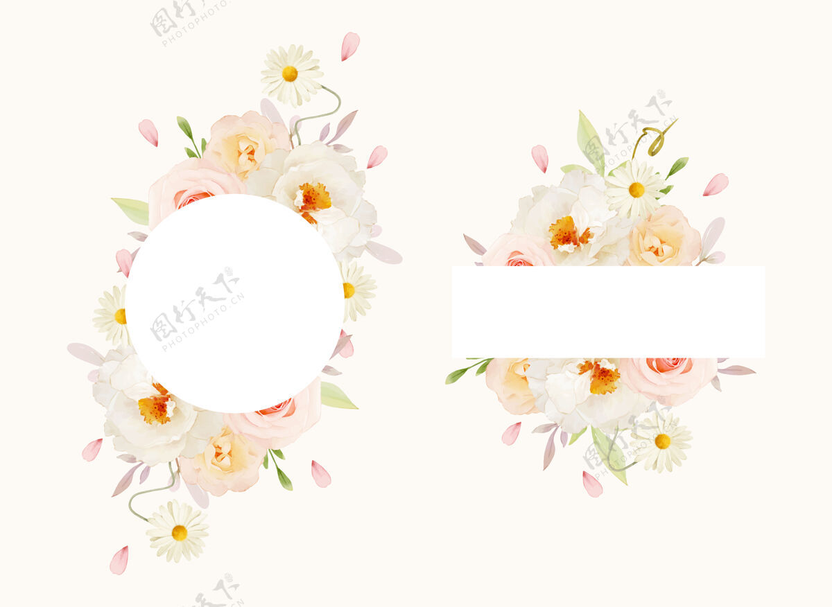 牡丹花美丽的花卉框架与水彩粉红玫瑰和白色牡丹玫瑰花植物画框