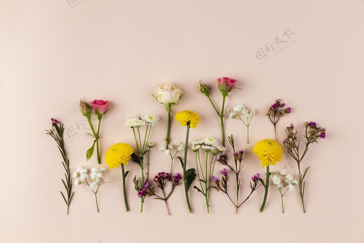 套装桌面上的花卉收藏叶子花开花