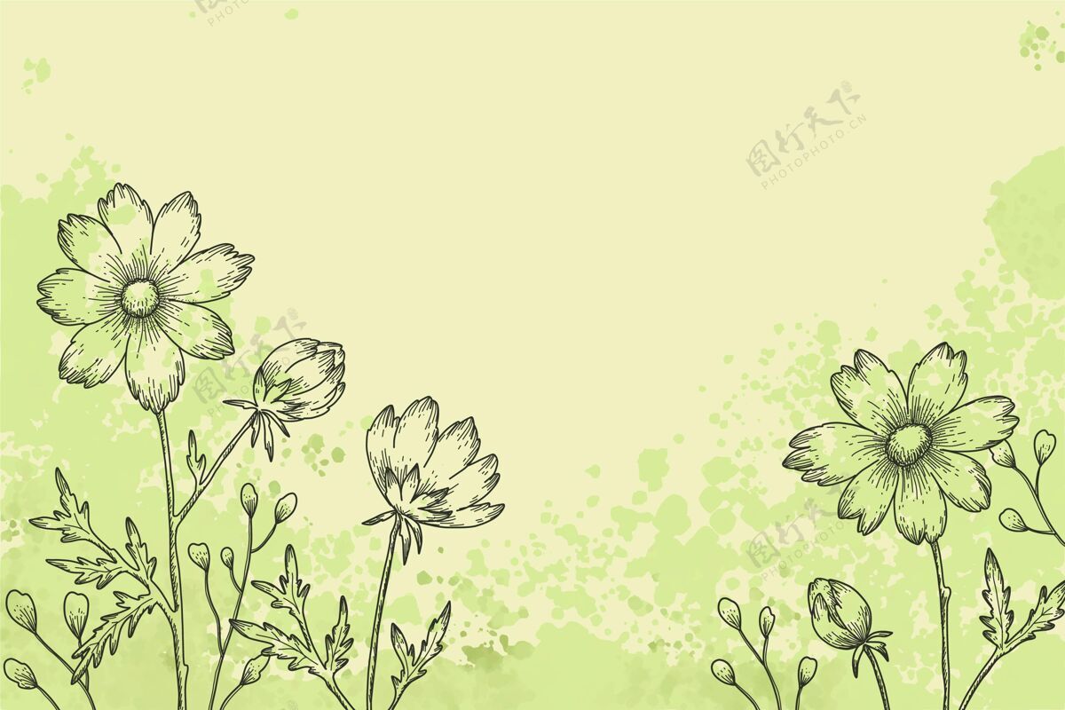 自然花卉手绘背景设计花背景花瓣