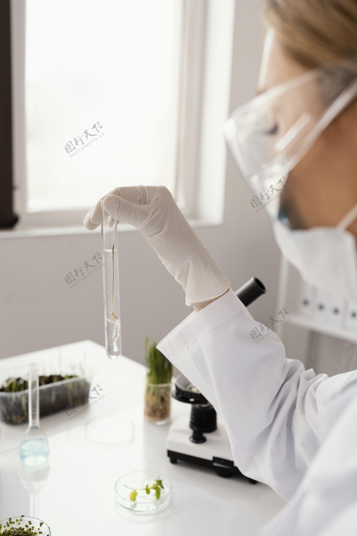 科学家科学家拿着试管 把种子收起来技术显微镜实验室