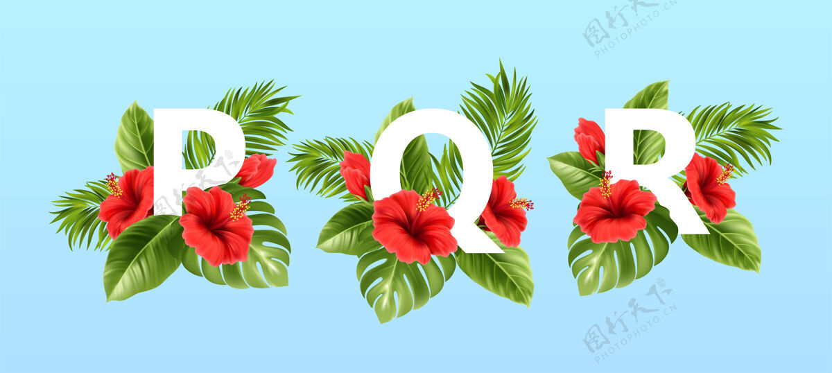 夏威夷Pqr字母被夏天的热带树叶和红色的芙蓉花包围着棕榈热带夏季字母
